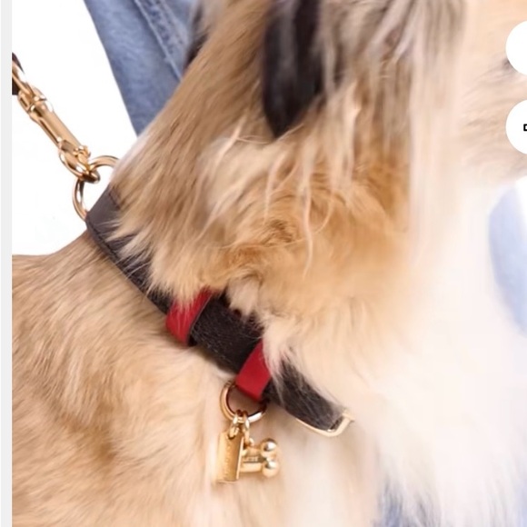 Coach Boxed Pet Collar NIB PRICE FIRM - Picture 3 of 3